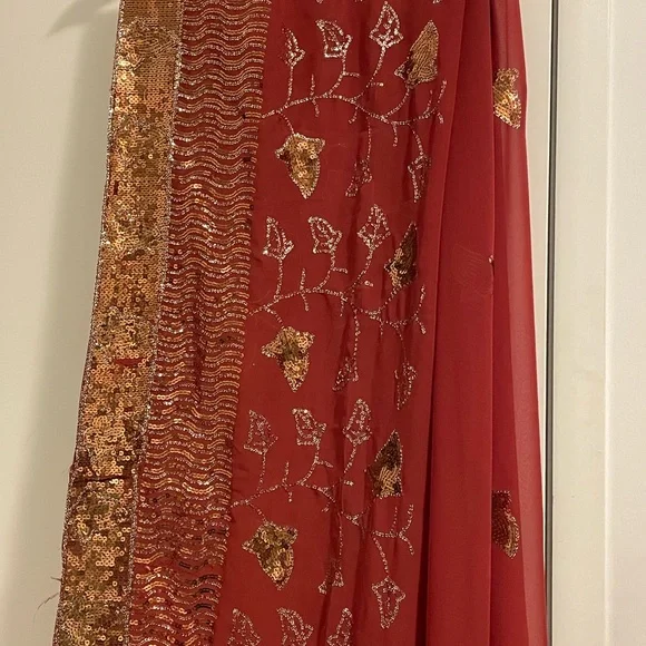 Burned Orange/light brown Sequin Saree - Picture 1 of 3